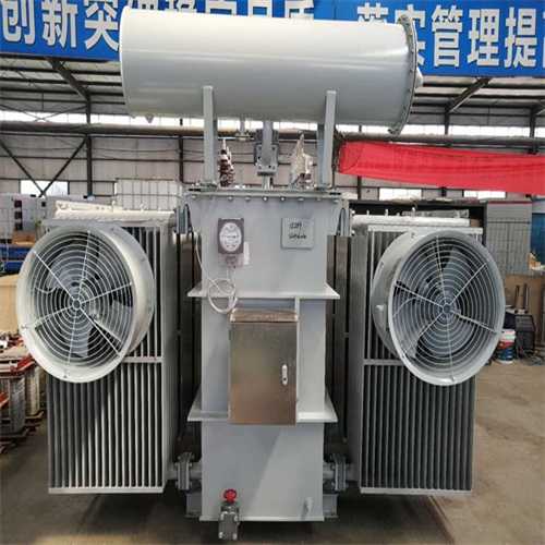 岳阳S22-8000KVA电力变压器